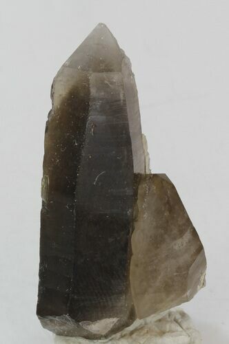 Bargain Smoky Quartz Crystal - Hallelujah Junction #34119